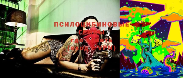 таблы Богородицк